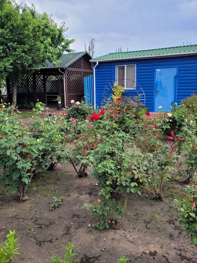 Продаж затишного будинку