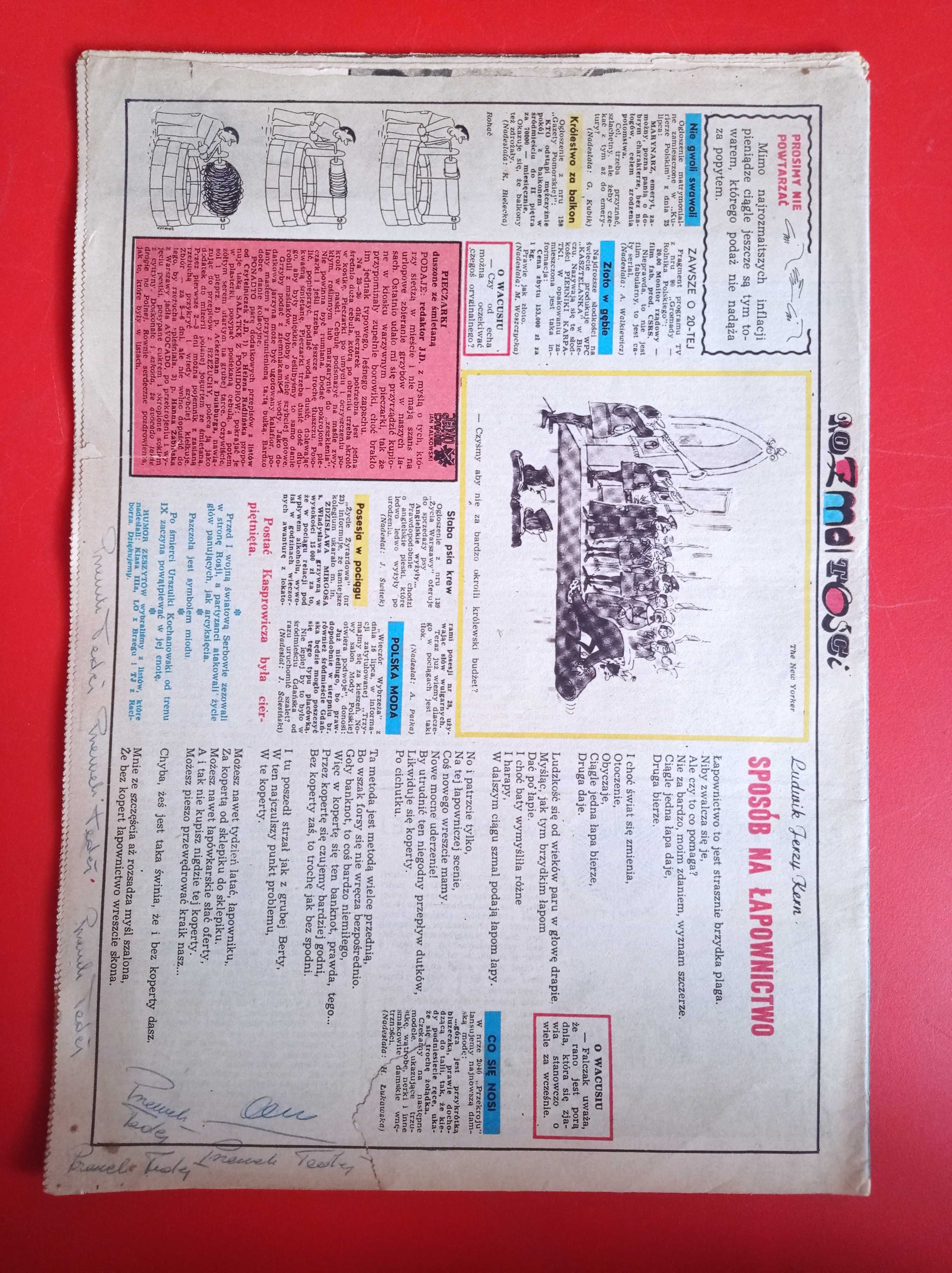 Przekrój, tygodnik, nr 2045, 19 sierpnia 1984
