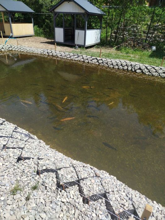 Відпочинок в Яблуниці