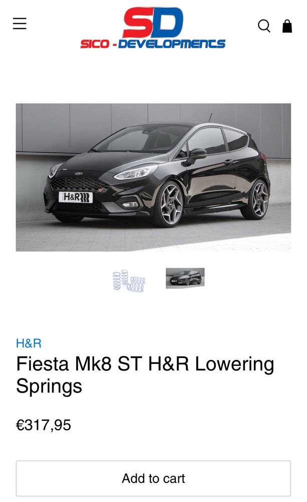 Molas H&R Ford Fiesta ST