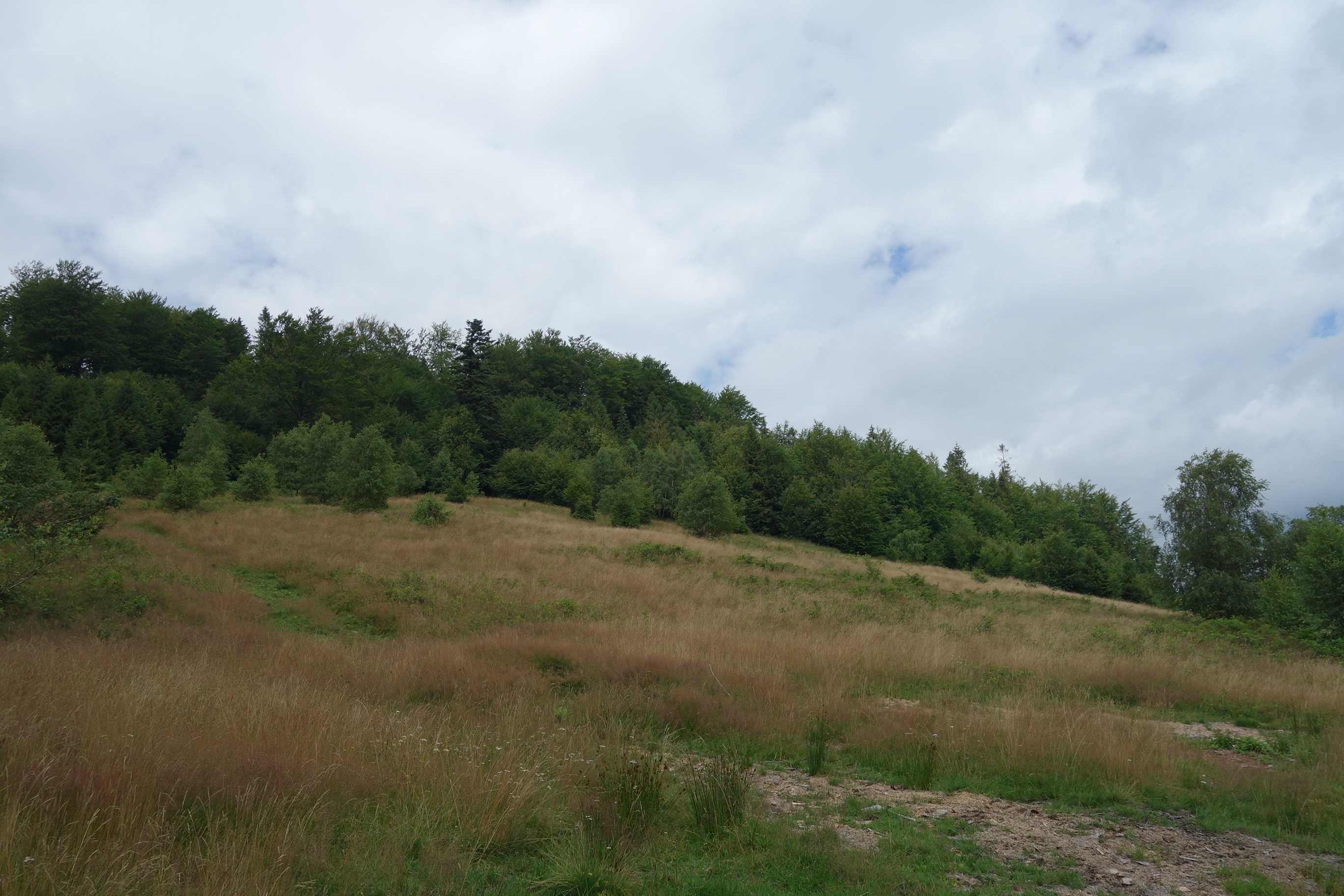 Brenna 2,53 ha inwestycyjna blisko wyciągu orczykowego piękna panorama