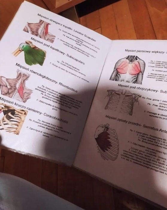 Notatki o Mięśniach (Książka do Notatki dla Technik Masażysta z Fizjot