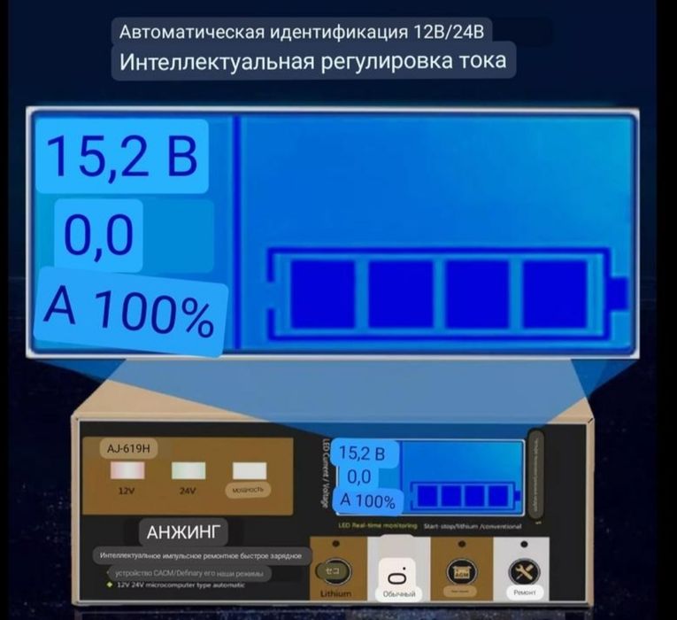 Зарядний імпульсний пристрій 20А.