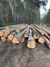Sosna drewno dłużyca drzewo sprzedam dłużycę 14,2m długości