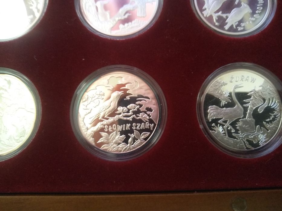 Monety srebrne z kolekcji "Podniebne Głosy"