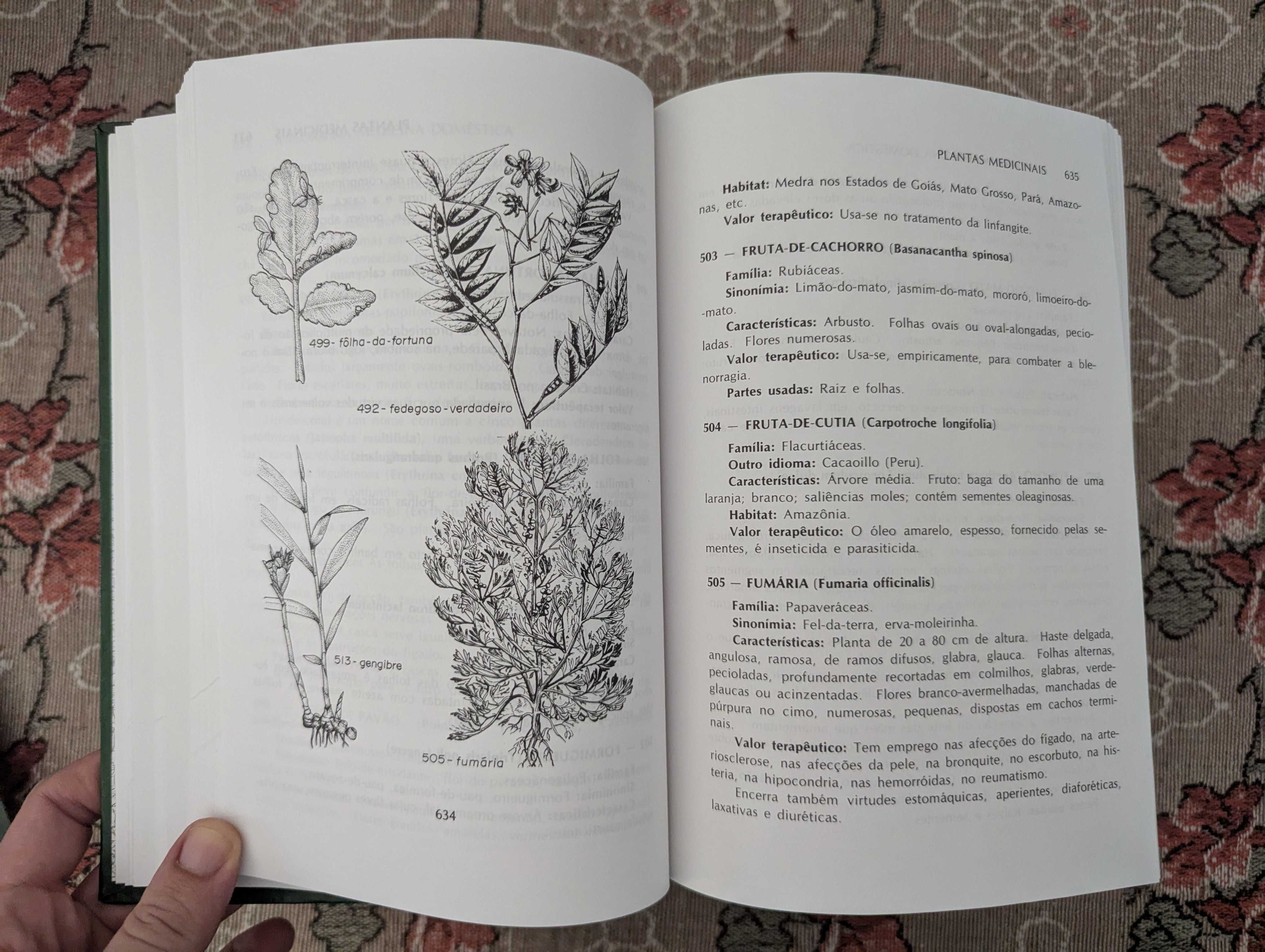 A Flora na Medicina Doméstica