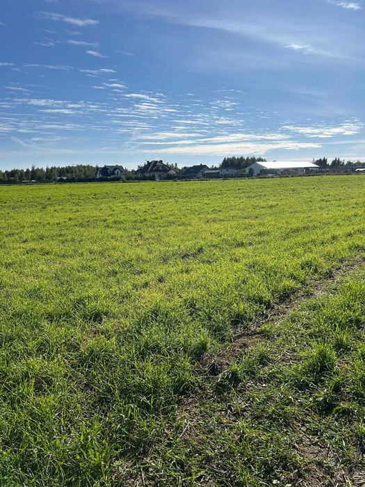 Działka budowlane w Burkacie, gmina Działdowo 1255m2