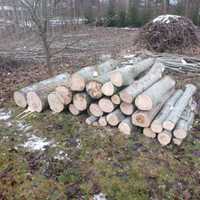 Drewno opałowe  osika