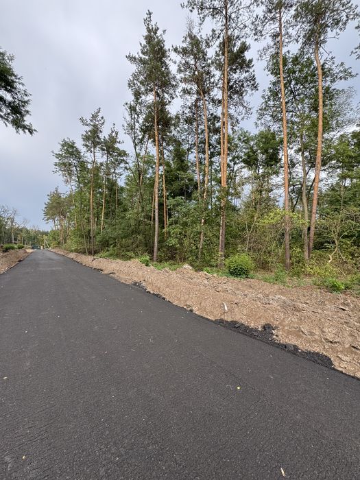 Продаж ділянок у сосновому лісі від 10-12-25 соток КМ Нова Ходосівка