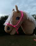 Hobby horse koń na kiju