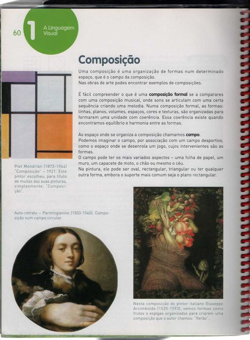 Livro escolar ver desenhar e criar educação visual 7º 8º 9º ano