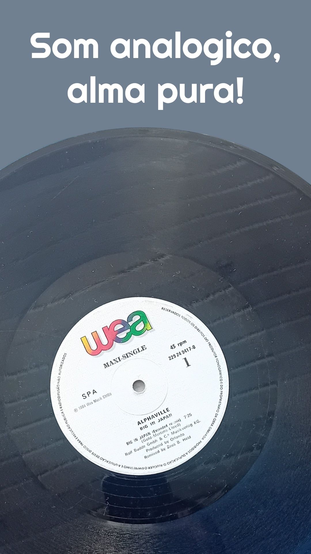 Disco vinyl       .