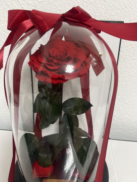 Троянда, роза, Сублімована (ліофілізована) червона троянда