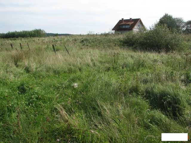 Cerkiewnik Dobre Miasto Działka Budowlana