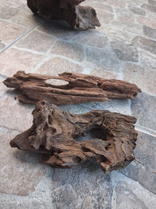 Korzenie do akwarium