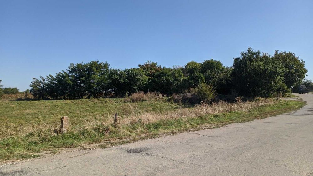 Продам дом в селе Криничное, ,40 соток земли. Или обмен на квартиру.