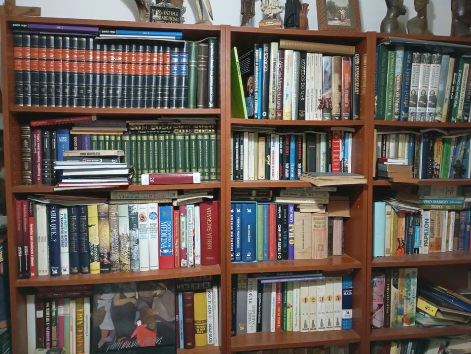 Livros de vários temas e coleções