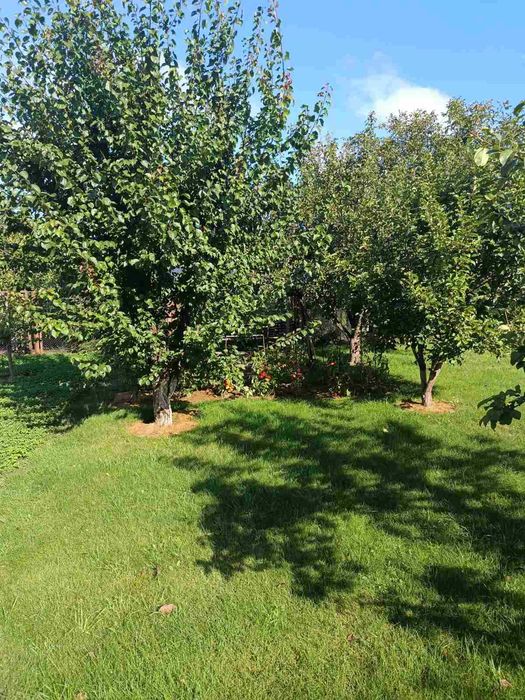 Новосілки, стильний комфортний будинок 129 кв м з ділянкою 16 соток