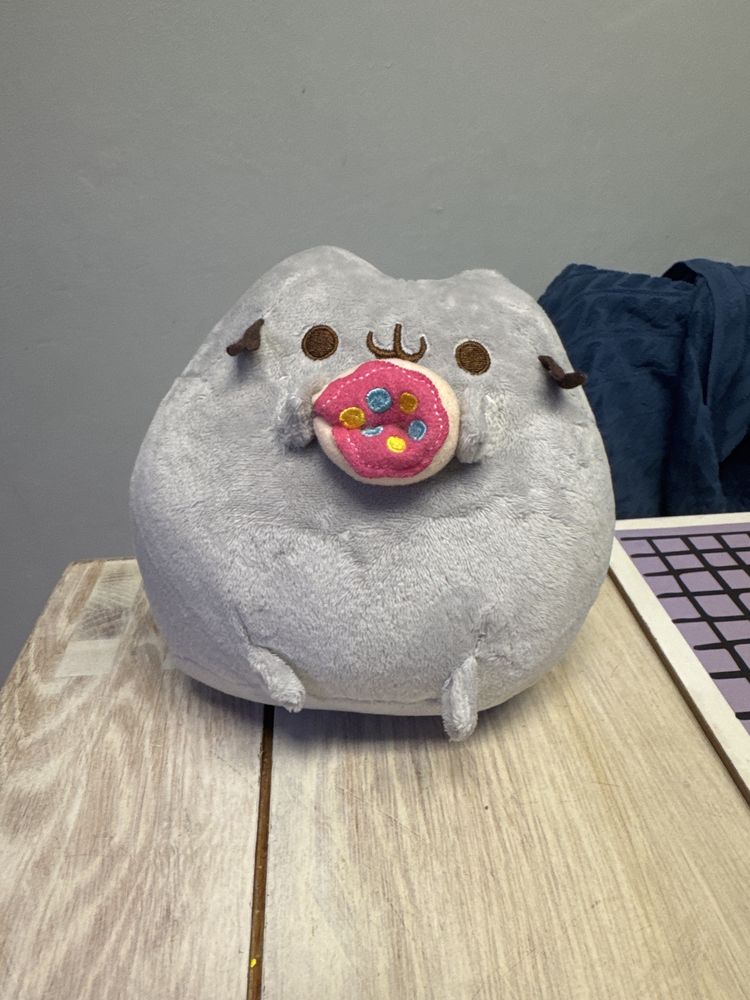 Pusheen maskotka pp