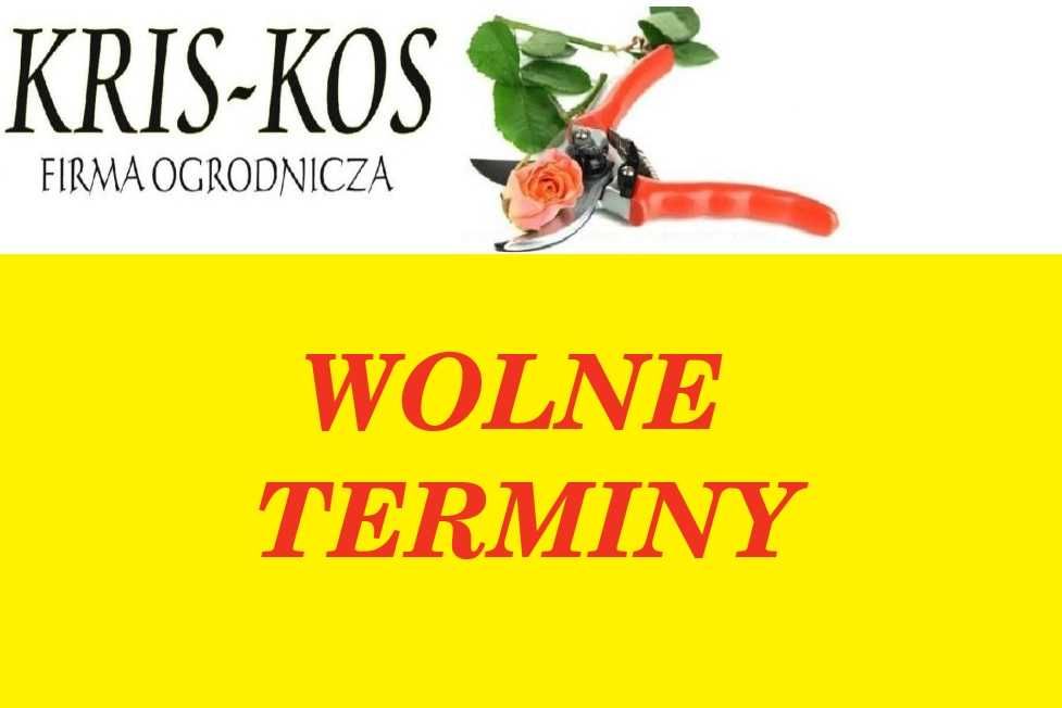 Profesjonalne strzyżenie żywopłotów. WOLNE TERMINY