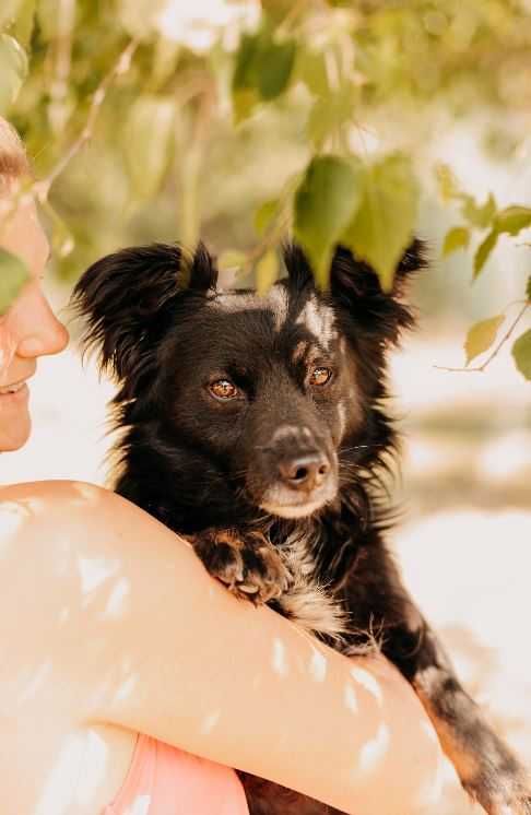 Mały, młody, słodki psiaczek poleca się do adopcji!!!