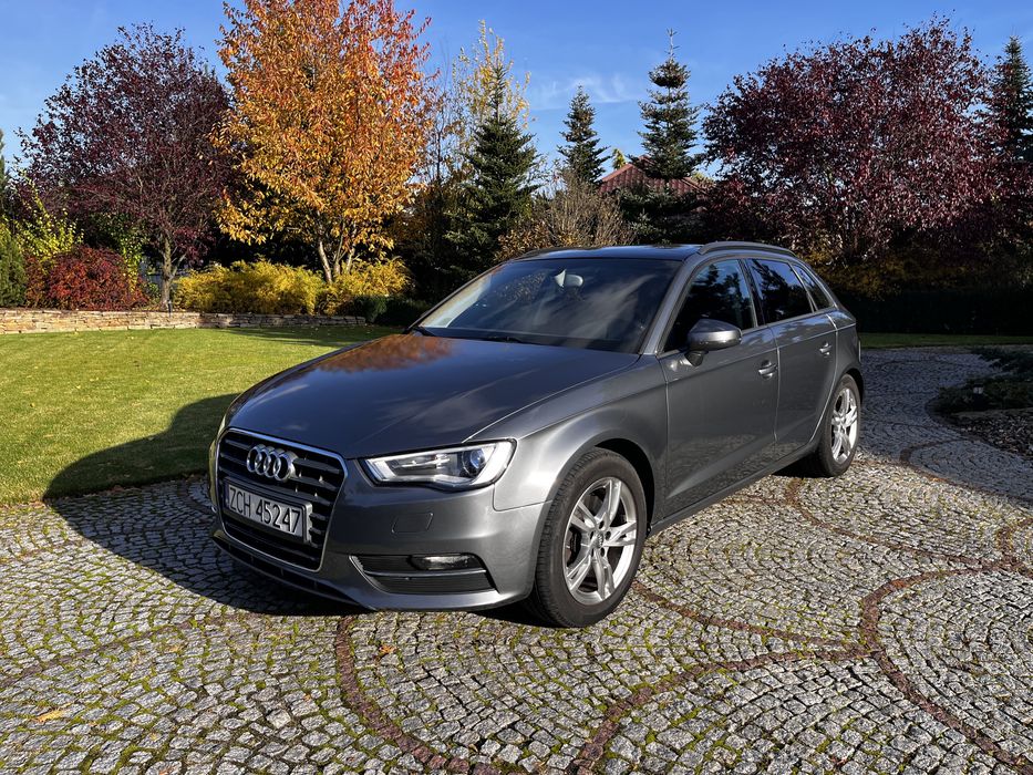 Audi A3 8V/2015r/2.0 TDI 150km/172tys.km/6biegów/manual/bi-xenon/navi