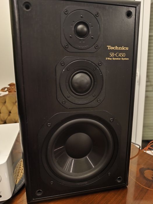 Technics SB-C 450 para kolumn