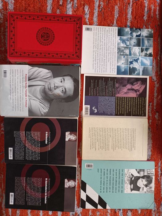 16 Livros Pilcher, Kostova, Paixão, J. Verne, Outros, CADA