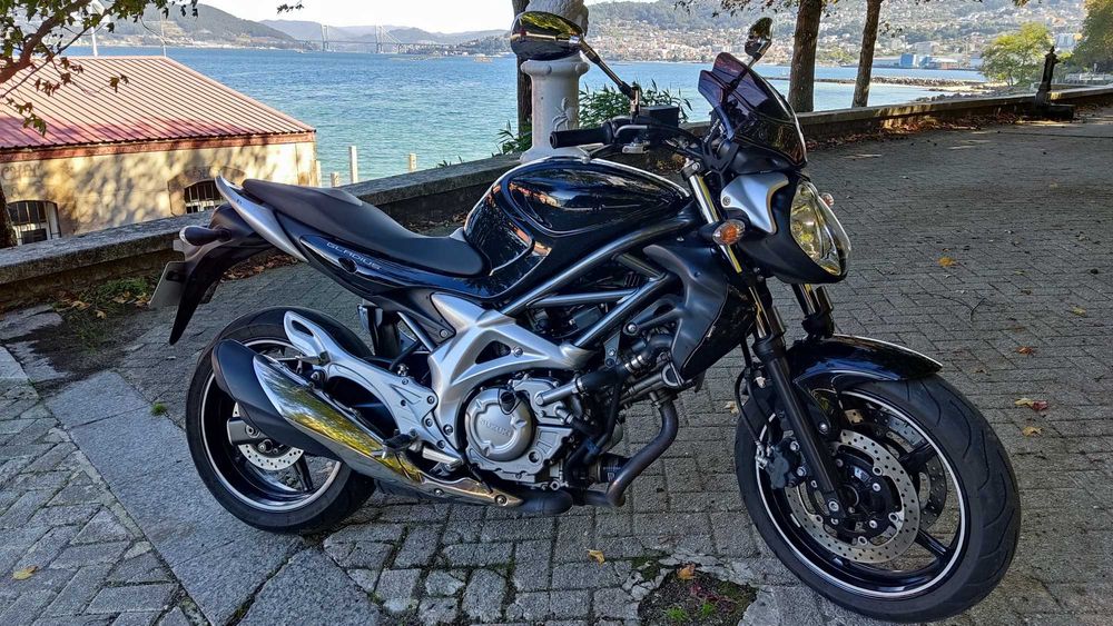 Suzuki Gladius 650