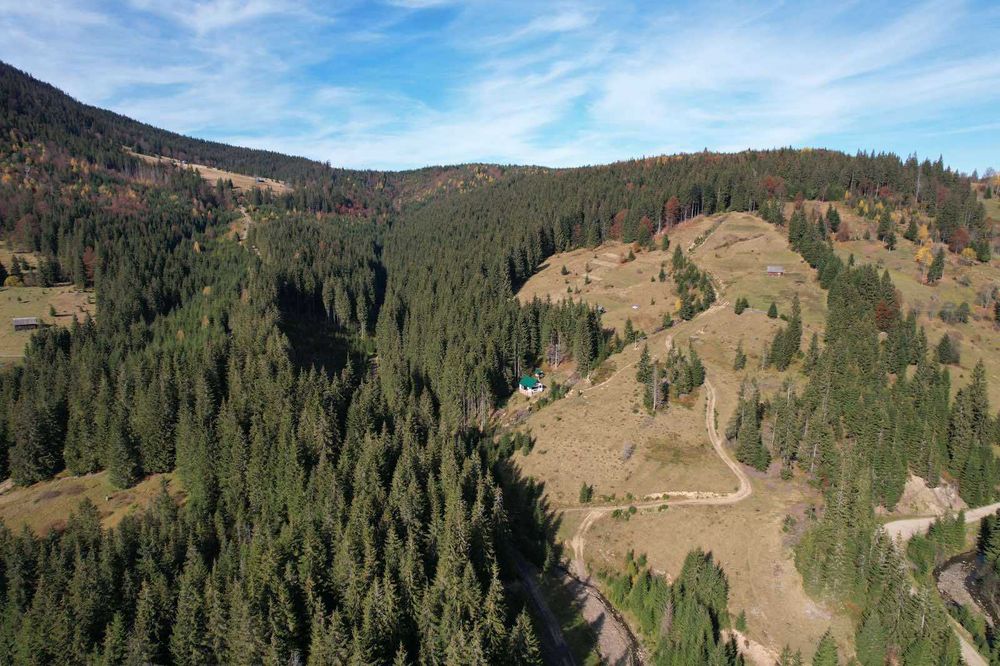 Будинок Ніч в Карпатах