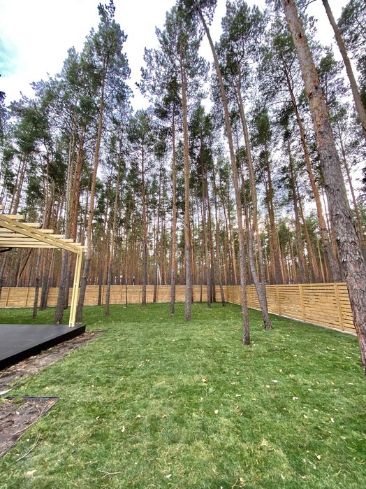 Продаж будинку серед сосен у Лісовій Бучі, розкішна ділянка 15 соток