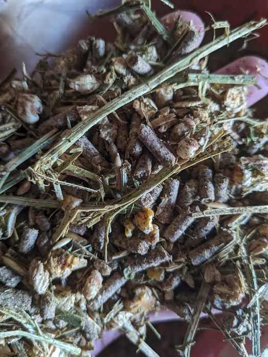 TKLine Suchy TMR | Gotowy TMR dla cieląt | 20kg