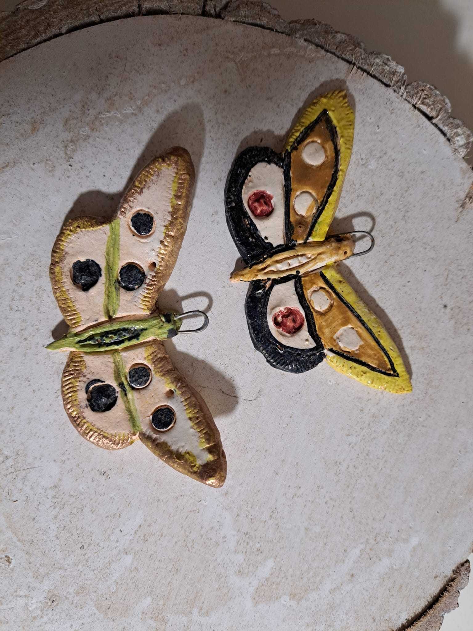 Coleção de borboletas