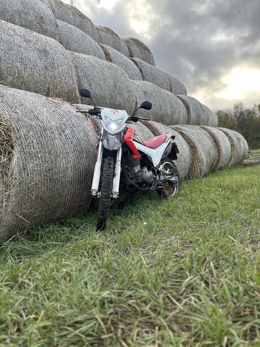 Geon x-road 202 ІНЖЕКТОР