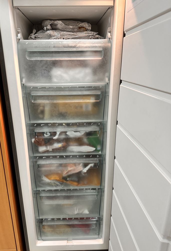 Arca vertical electrolux EUC2500X