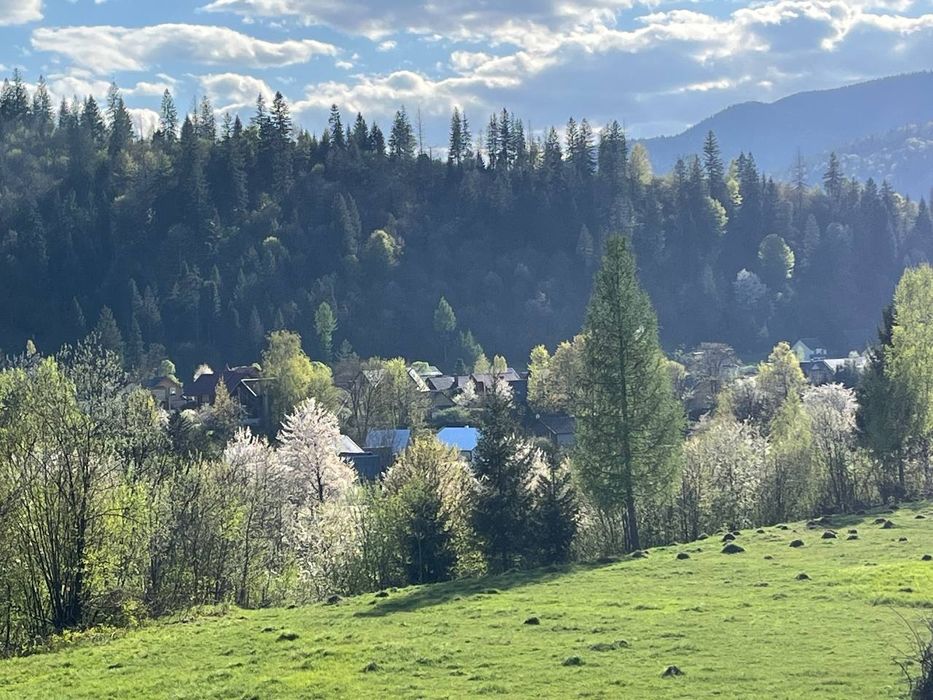 Відпочинок в Карпатах  котедж