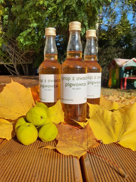 Syrop z pigwowca + czarnego bzu