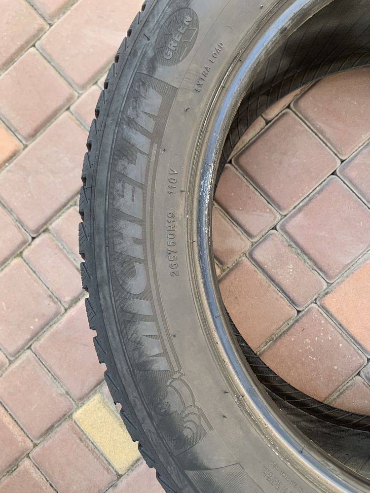Шини Michelin R19 265/50 2021 рік