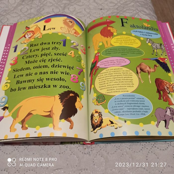 Książka dla dzieci Polskie rymowanki
