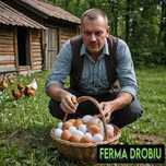 KURKI nioski Tetra brązowa  dowóz gratis