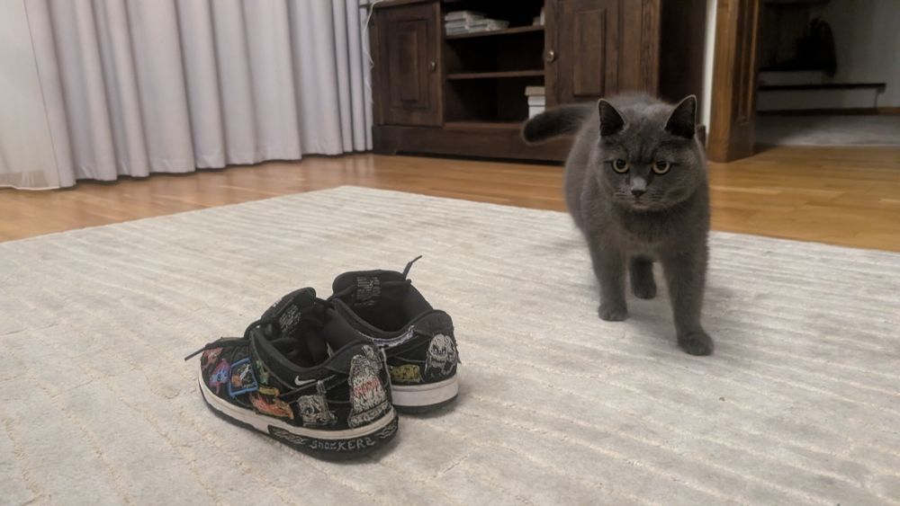 Nike dunk sb neckface