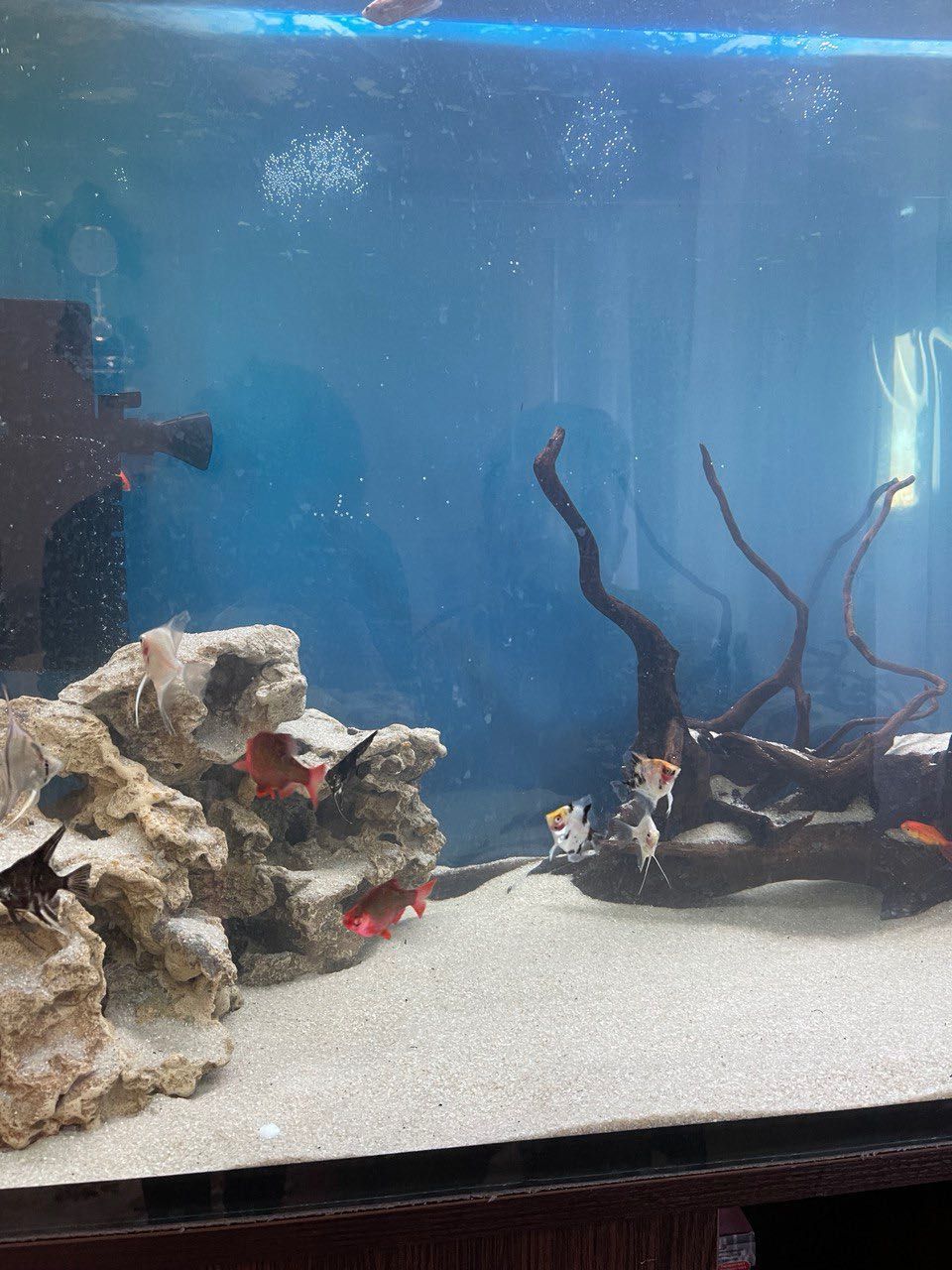 Почти новый аквариум 300 л с тумбой - идеальное состояние!