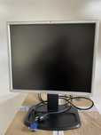 Monitor HP L1950g