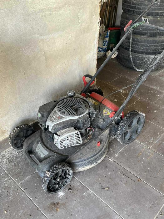 Kosiarka spalinowa Sterwins