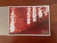 portfólio - Rogério Russo
