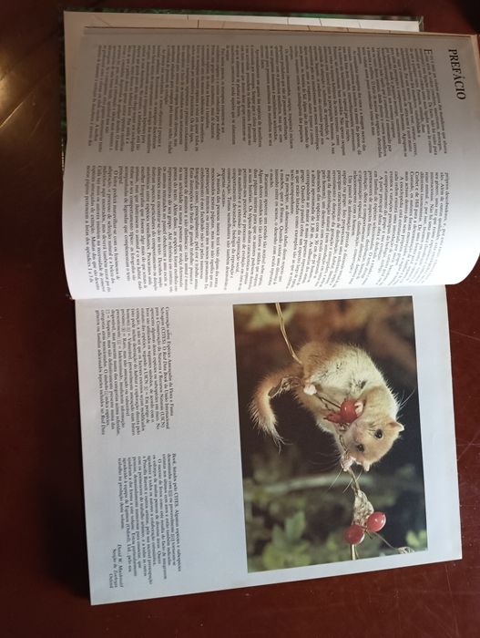 Roedores, insectívoros e marsupiais;	Coleção Animais de todo o Mundo*
