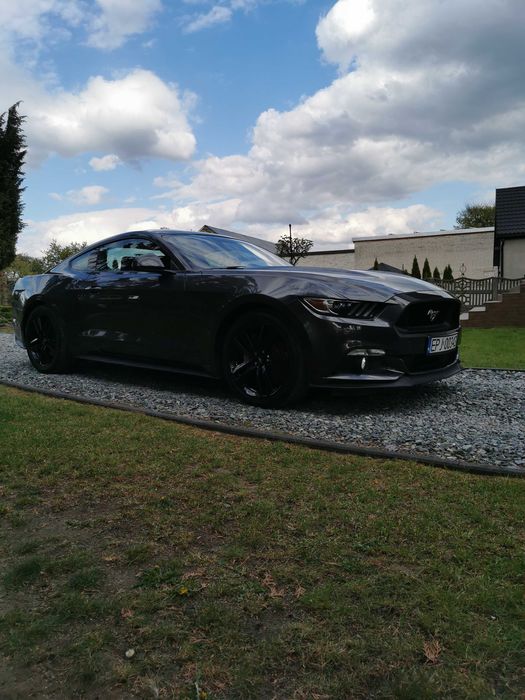 Ford Mustang 2.3 Niski Przebieg Wersja Europa w Bardzo Dobrym Stanie