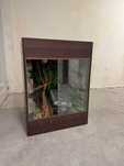 Terrarium dla kameleona