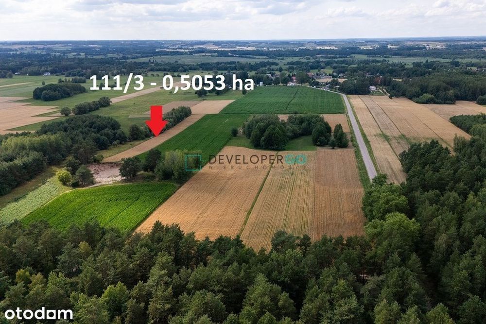 Rogowo, gmina Choroszcz – działki rolne na sprzeda