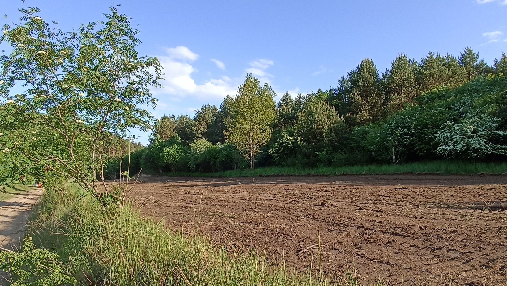 Działka budowlana Lipowiec gmina Kurzętnik, warunki zabudowy.